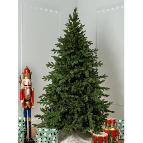 The Spitsbergen Spruce 6ft / 180cm