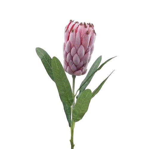 Pink Protea With Leaves 52cm