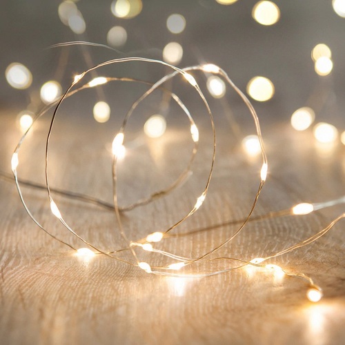 40 Micro WARM WHITE Fairy Lights