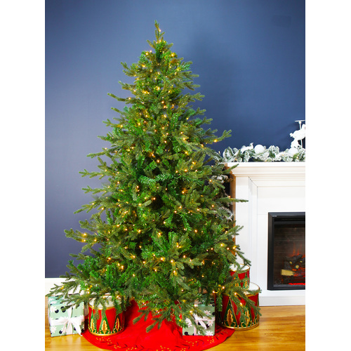 Norfolk Pine  7ft /2.1m  Pre Lit Warm White