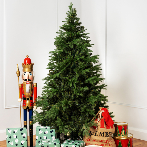 FRASER FIR Christmas Tree   6ft/180cm   -   637 Tips 